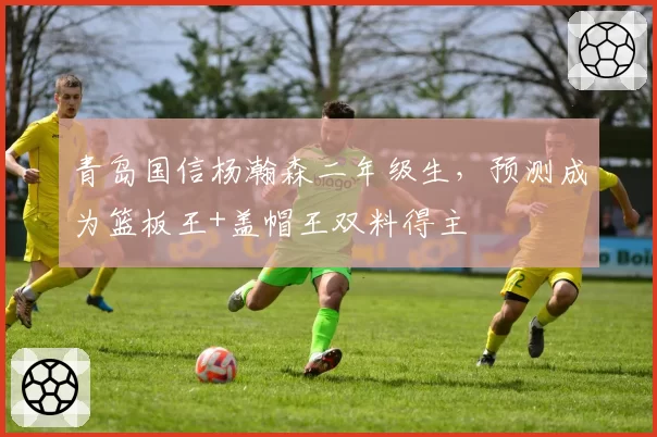 青岛国信杨瀚森二年级生，预测成为篮板王+盖帽王双料得主
